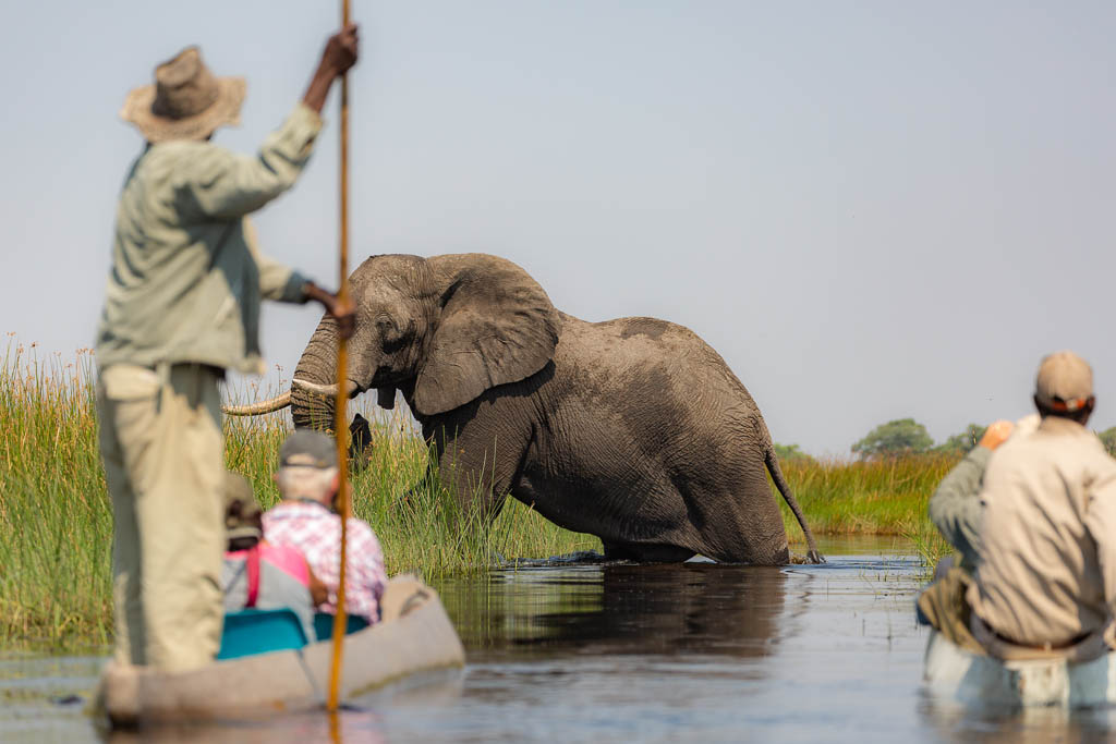 BWA16c-Mokoro-Safari-Okavango-Delta